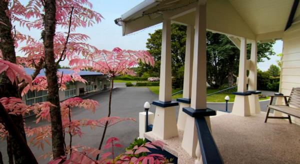Opportunity to buy motel freehold going concern and own the property and motel business located in Stratford, Taranaki, New Zealand