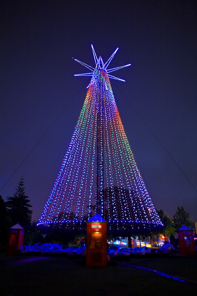 The Telecom Christmas Tree To Light Up Auckland's Sky | infonews.co.nz