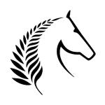 Equestrian Sports New Zealand