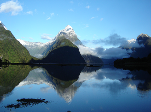 Summer Snow in Milford Sound