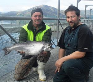 NZ King Salmon staff with a healthy fish from the company's Waihinau farm.