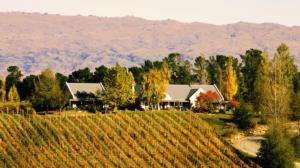 Great opportunity to purchase vineyard & accommodation freehold investment in Alexander, Central Otago, New Zealand