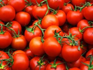 Tomatoes [1]