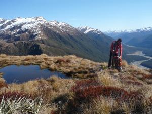 Descending Mt Brewster above the Makarora River - Mt Aspiring National Park