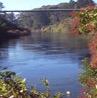 Waikato River Trails