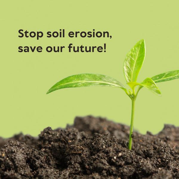 Stop Soil erosion