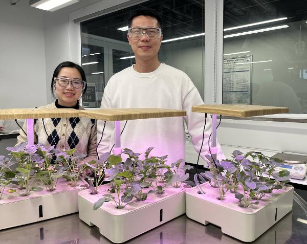 Vicky Tsui and Professor Alex Yip have created a small hydroponic system as a testing platform for an innovative new water treatment device.