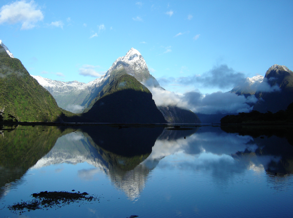 Summer Snow in Milford Sound