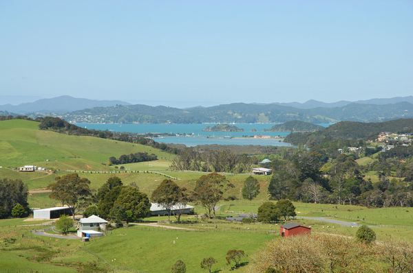 The former farmland/lifestyle block subdivision being sold by Landcorp Estates as it quits the Bay of Islands residential real estate market. 