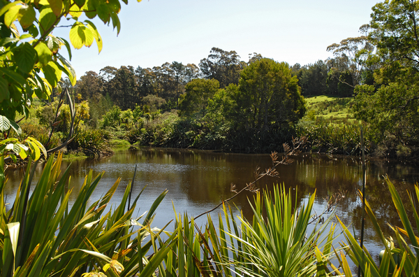 A pristine waterfall, ponds, and substantial native tree forests underpin the environmental attractions of the subdivision.