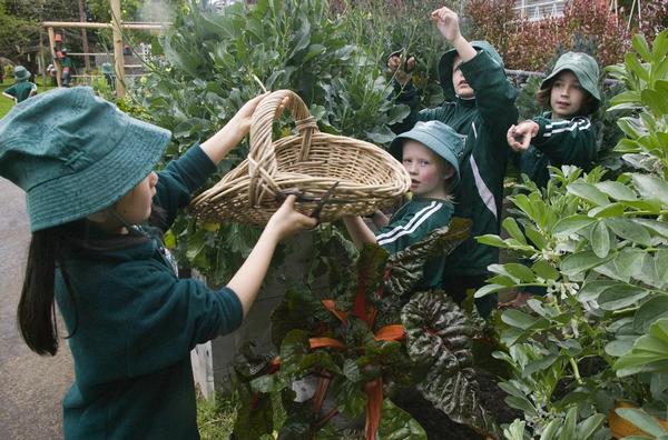 Children at Auckland's Meadowbank Primary forage in the school garden for herbs and vegetables for their meal.