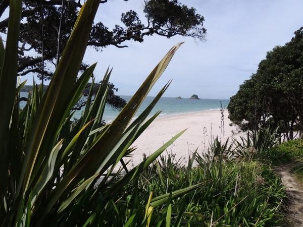 Coromandel Peninsula