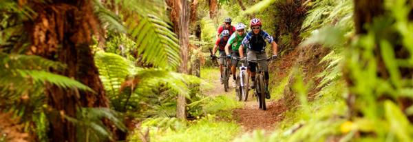 Get on your bike with Palmerston North Accommodation Provider Chancellor Motor Lodge and Conference Centre