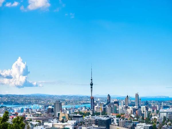 A stunning view of Auckland's iconic skyline under clear blue skies, showcasing the beauty and vibrancy of the city.