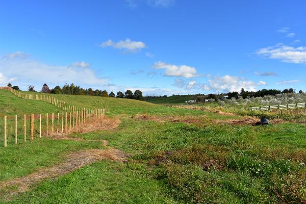 Lot 2, 10 Miller Road, 1.33ha