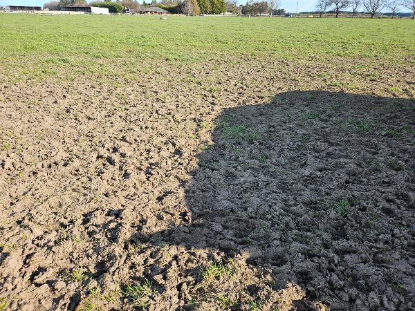 A single pugging event can cause severe compaction of the soil.