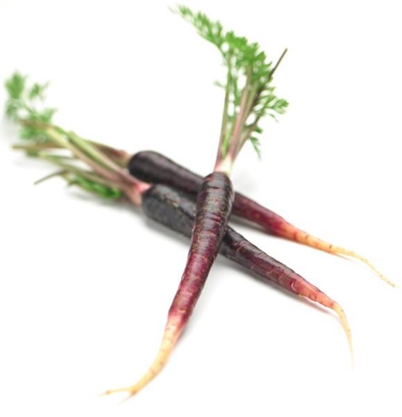 Southern Fresh Foods Grows Baby Carrots in Original Colours