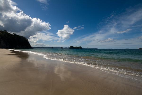 Hahei Beach