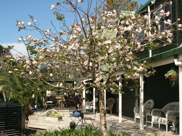 Spring at Sandpiper Lodge