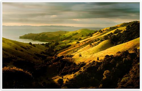 Coromandel Peninsula