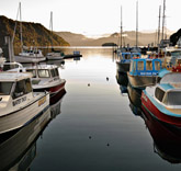 A stroll around the Picton marina reveals the town's nautical history.