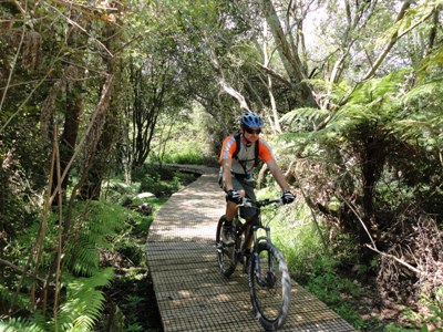 Waikato River Trails - on NZ's Nga Haerenga cycle way network