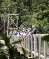 Zealandia - treetop walkway bridge