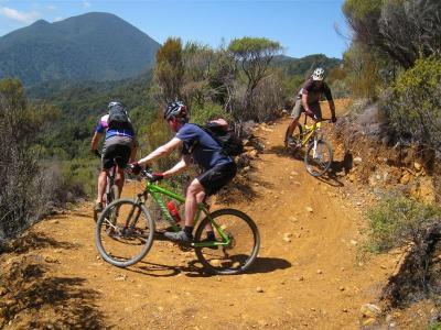 Dun Mountain Trail - one of NZ's Nga Haerenga cycle way network