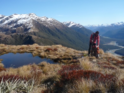 Descending Mt Brewster above the Makarora River - Mt Aspiring National Park